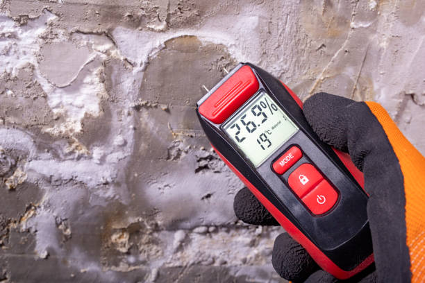 Best Post-Flood Mold Remediation in Halesite, NY